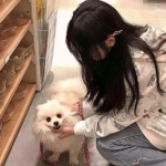 边缘领域游戏